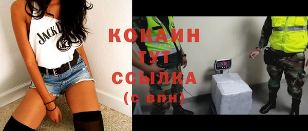 дживик Белокуриха