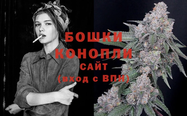 дживик Белокуриха