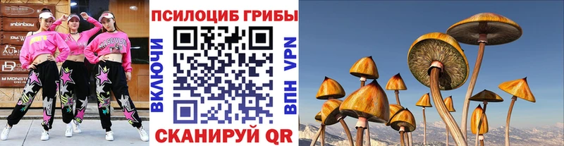 Купить  Ленинградская  Псилоцибиновые грибы GOLDEN TEACHER 